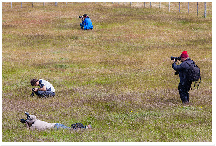 Fotógrafos en la hierba.