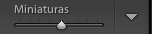 Control para ajustar el tamaño de las minuaturas