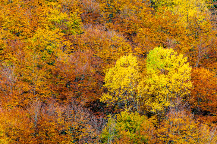 Lluvioso otoño en Val dArán